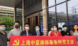 闵行律师事务所,专业法律服务，守护您的合法权益